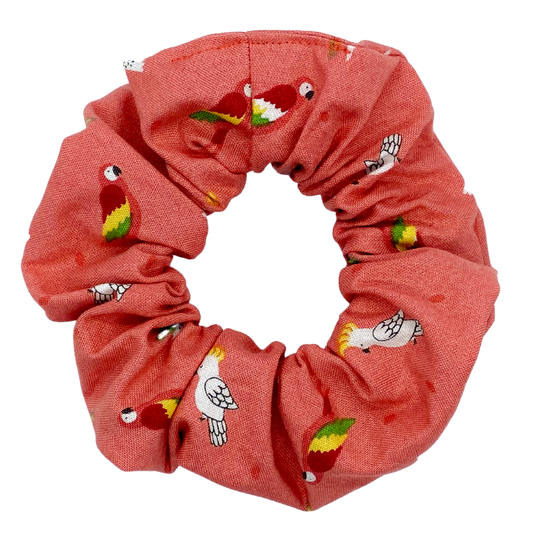 Birds on Tropical Coral